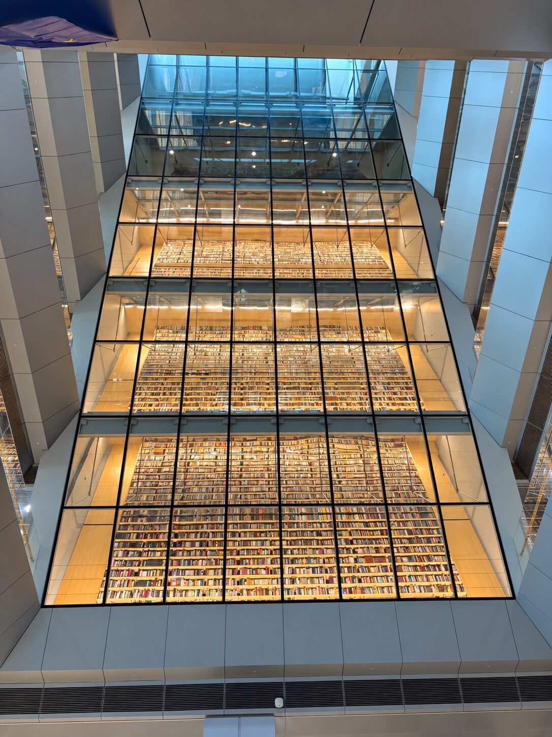 sklenene-atrium-kniznice-rige